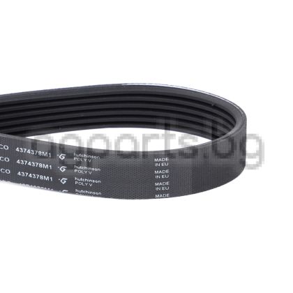 Serpentine Belt, PK6 Profile