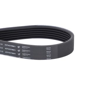 Serpentine Belt, PK6 Profile
